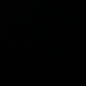 Meet your Posher, Bailey